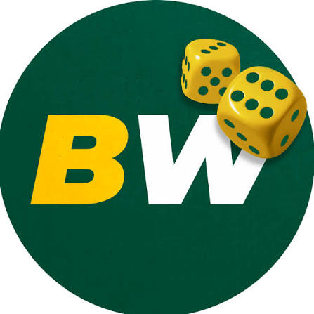 Comprehensive BetWinner Review Insights & Features
